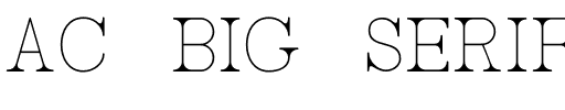 AC Big Serif One Regular.otf