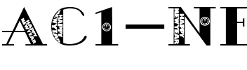 AC1-NewYear Regular.ttf
