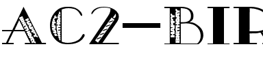 AC2-Birthday Regular.ttf
