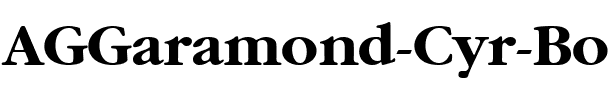 AGGaramond Cyr Bold.ttf