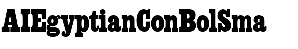 AIEgyptianConBolSma Regular.ttf