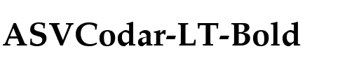 ASVCodar LT Bold Regular.ttf