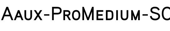 Aaux ProMedium SC Regular.ttf