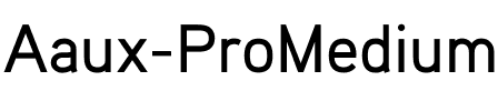 Aaux ProMedium Regular.ttf