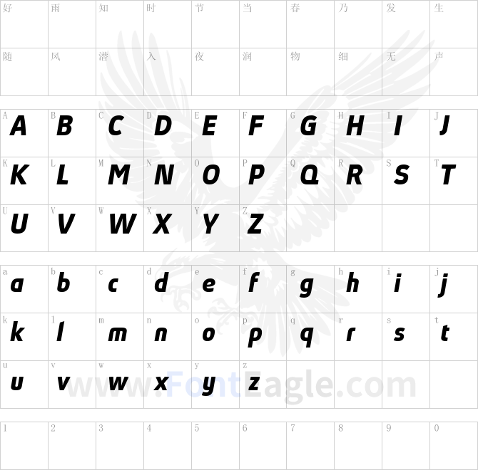 Absolut-Pro-Bold-Italic-reduced