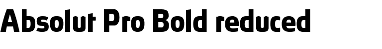 Absolut Pro reduced Bold.ttf