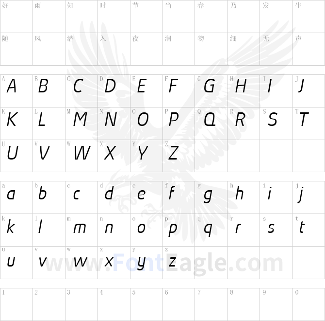 Absolut-Pro-Light-Italic-reduced