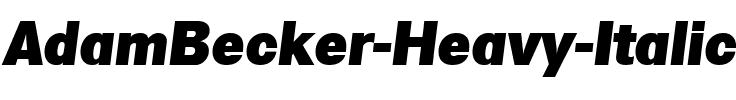 AdamBecker-Heavy Italic.ttf