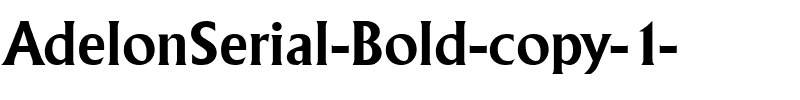 AdelonSerial Bold.ttf