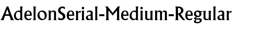 AdelonSerial-Medium Regular.ttf