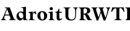 AdroitURWTBol Regular.ttf