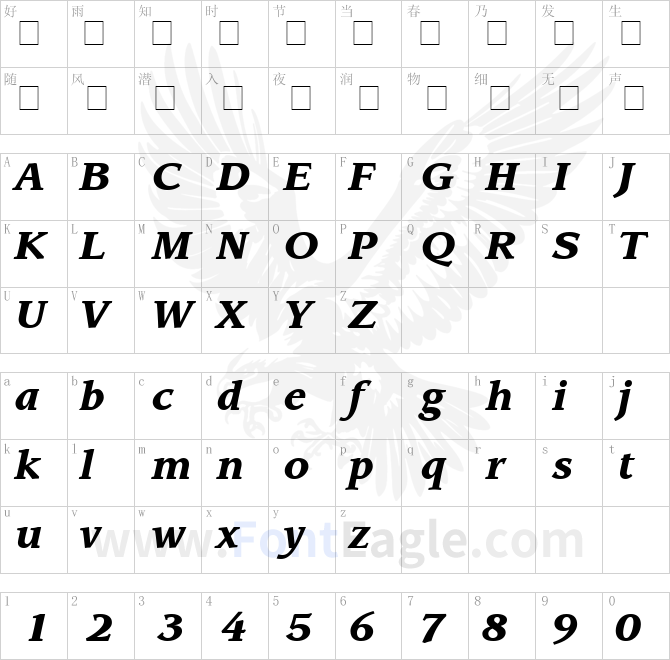 Advisor-Black-SSi-Black-Italic