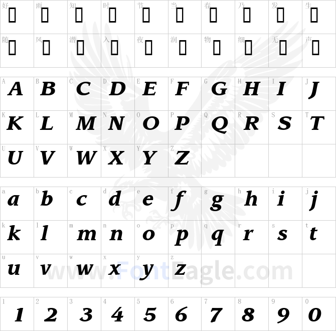 AdvisorBlackSSi-Italic