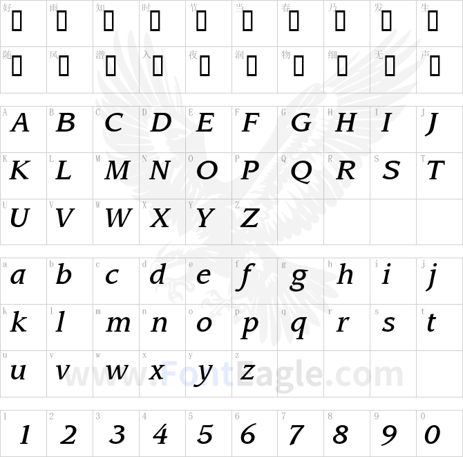 AdvisorMediumSSK-Italic