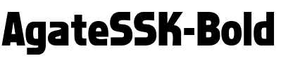 AgateSSK Bold.ttf