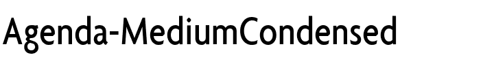 Agenda Regular.ttf