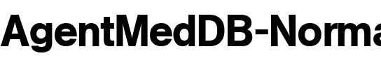 AgentMedDB Normal.ttf