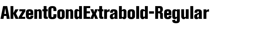 AkzentCondExtrabold Regular.ttf