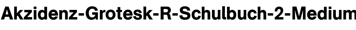 AG Schulbuch Two BQ                Regular.ttf