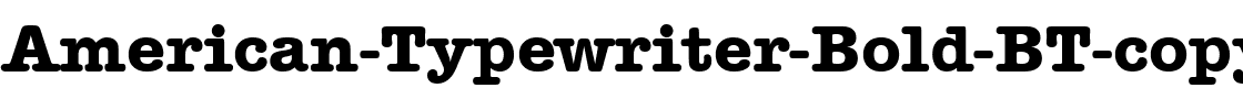 AmerType Md BT Bold.ttf
