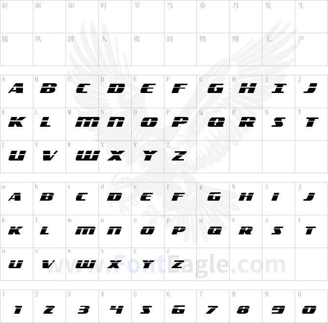 Americorps-Laser-Regular