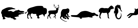 Animals Regular.ttf