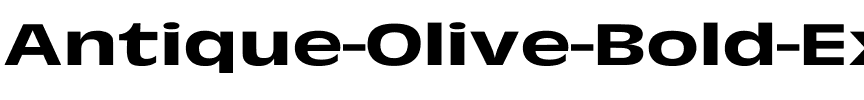 Antique-Olive-Bold Expanded Regular.ttf