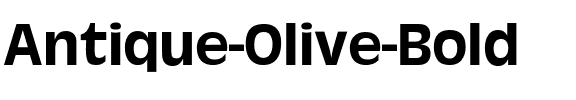 Antique-Olive-Bold Regular.ttf