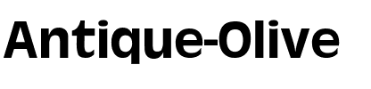 Antique-Olive Regular.ttf