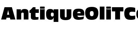 AntiqueOliTCom Regular.ttf