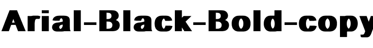 Arial Black Bold.ttf