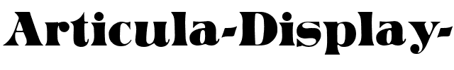 Articula Display SSi Regular.ttf