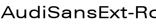 AudiSansExt-Roman Regular.ttf