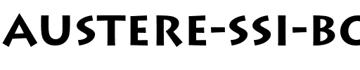Austere SSi Bold.ttf