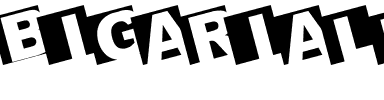 BIGARIALLEFT Regular.ttf