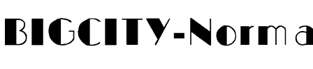 BIGCITY-Normal Regular.ttf
