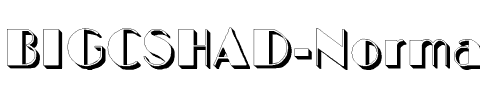 BIGCSHAD-Normal Regular.ttf