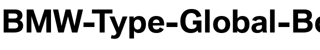 BMW Type Global Bold Regular.ttf