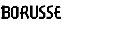 BORUSSE Regular.ttf