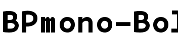 BPmono Bold.ttf