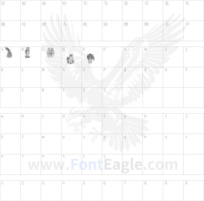 Baby-s-BreathRegular