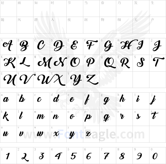 Back-to-Black-Bold-Demo