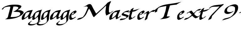 BaggageMasterText79 Bold.ttf