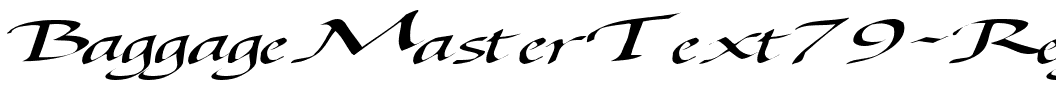 BaggageMasterText79 ttext Regular.ttf