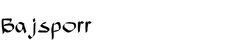 Bajsporr Regular.ttf
