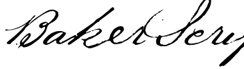 BakerScript Regular.ttf