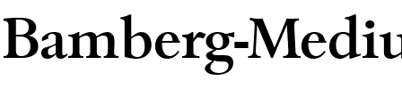 Bamberg-Medium Regular.ttf