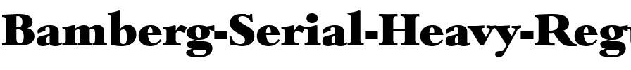 Bamberg-Serial-Heavy Regular.ttf