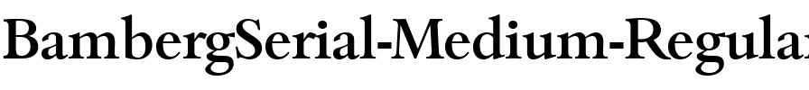 BambergSerial-Medium Regular.ttf