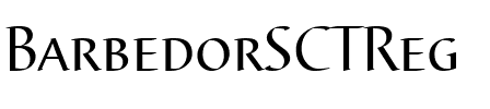 BarbedorSCTReg Regular.ttf